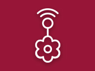 Picto Factory Numérique Responsable et durable