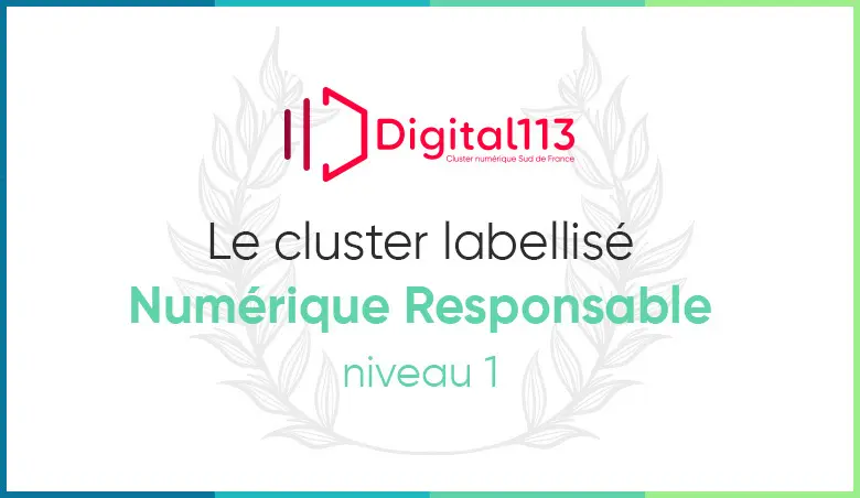 Visuel de la labellisation Numérique Responsable de Digital 113