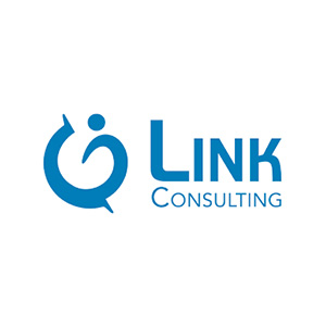 LINK CONSULTING